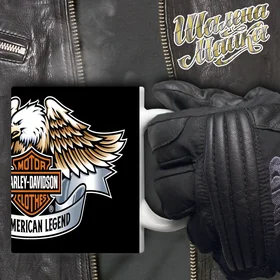 Прикольные кружки: Чашка Мото 053